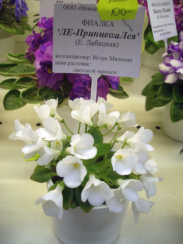 ЛЕ-Принцесса Лея.jpg