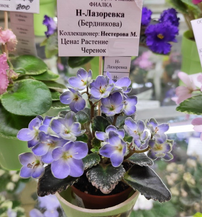 _1646634306907.jpg
