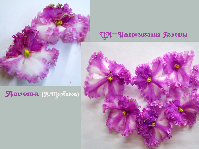ЦМ-Импровизация Агнеты 2.jpg