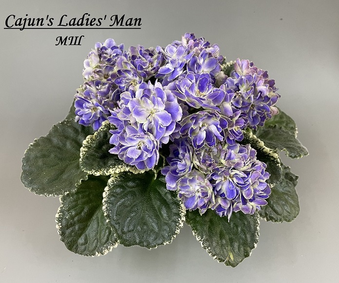 Cajun's Ladies' Man.jpg