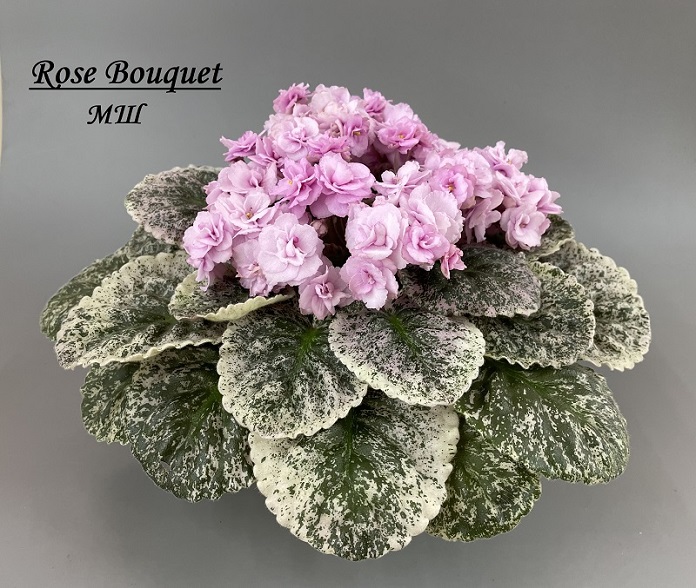 Rose Bouquet.jpg