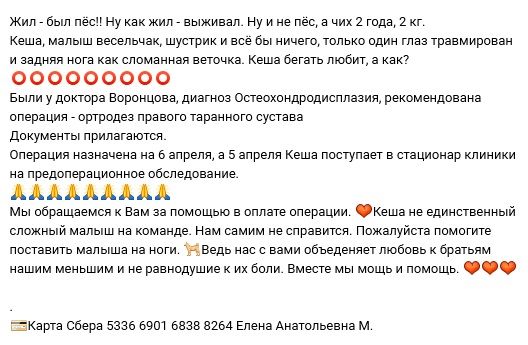 Кеша (2).jpg