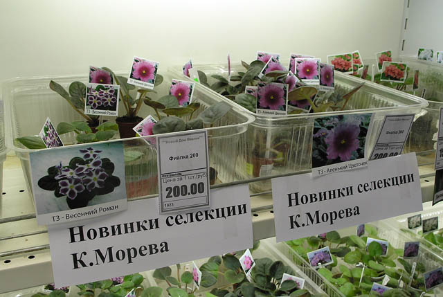 17.JPG