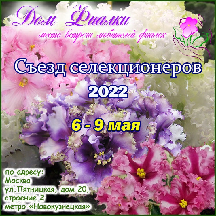 Афиша2.jpg
