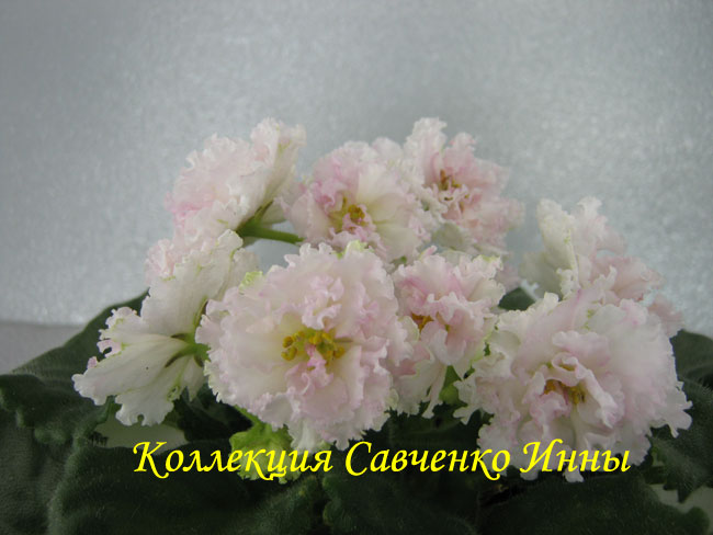 Изображение-620.jpg