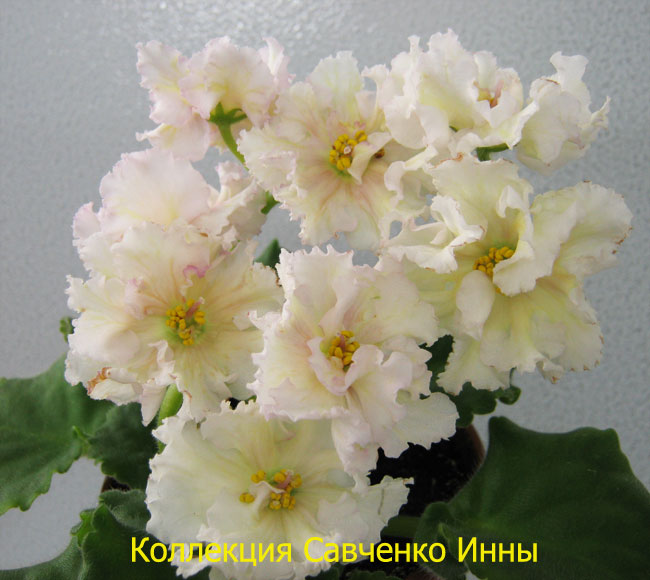 Изображение-642.jpg