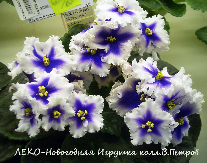ЛЕКО-Новогодняя Игрушка.jpg