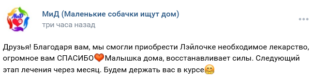 Screenshot 2022-06-02 at 14-07-21 Ирина Щедрина.png