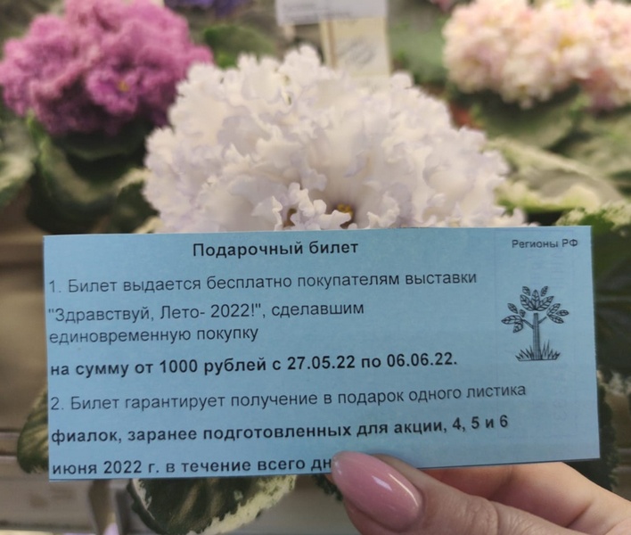 bYduANP5LfbGCrNHEsPhGzy29VzoctD16iCFvnx5EpNCymABVPV_DbJ8J0Jll73XjujugVpxKQRKTv5vZuHZw625.jpg