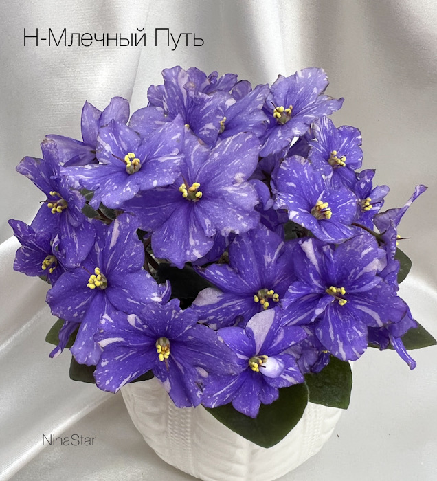 Н-Млечный Путь