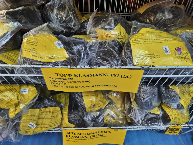 TONP5174.JPG