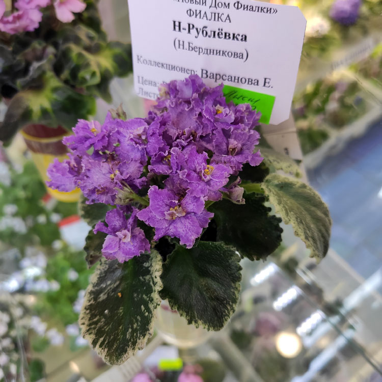 Н-Рублевка