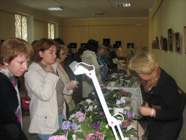 IMG_6145.jpg m.jpg