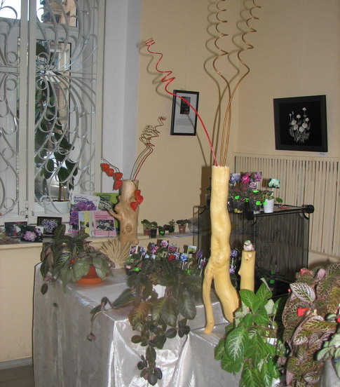 IMG_6311.jpg m.jpg