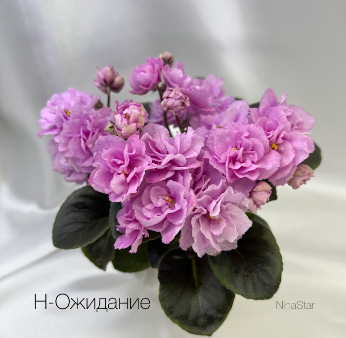 FD56658D-69D7-4AA0-B53D-4E62A840D40C.jpeg