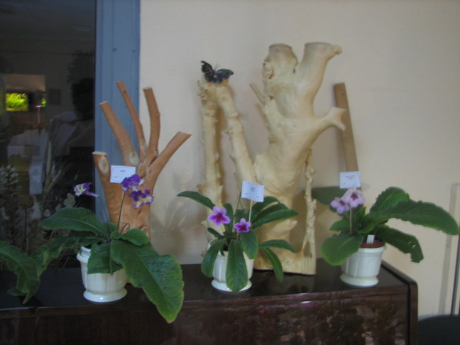 IMG_6321.jpg m.jpg
