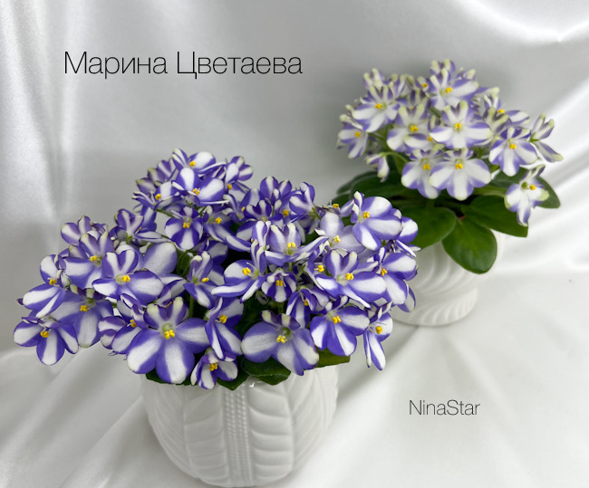 Марина Цветаева