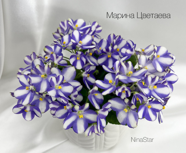Марина Цветаева