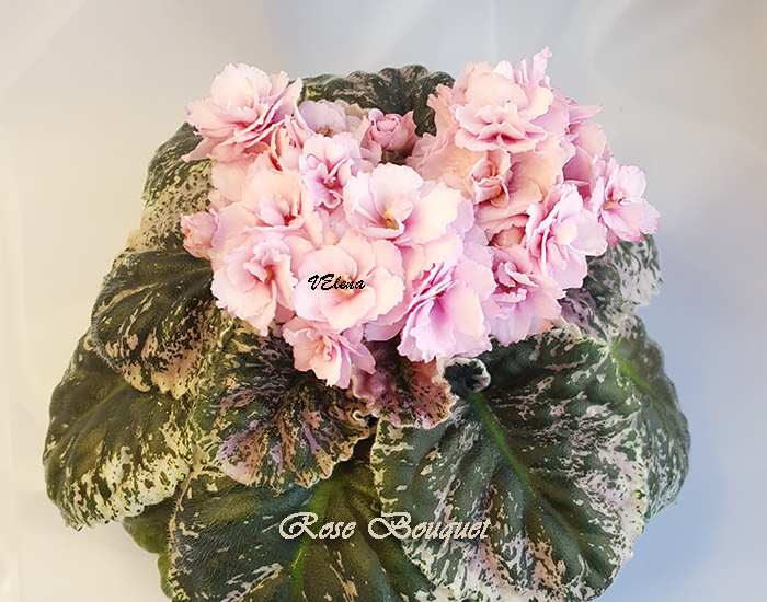 rose_bouguet.jpg
