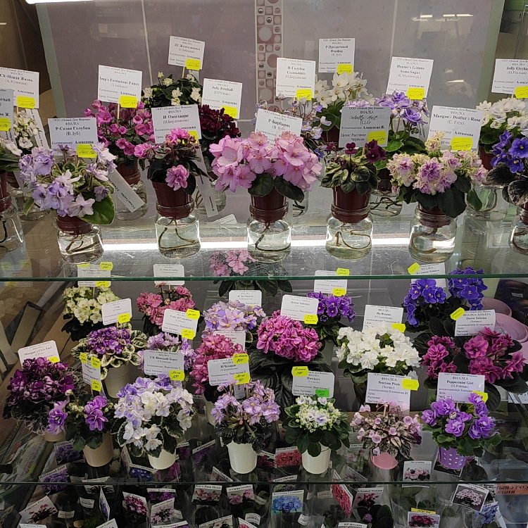IMG_20221117_182753.jpg
