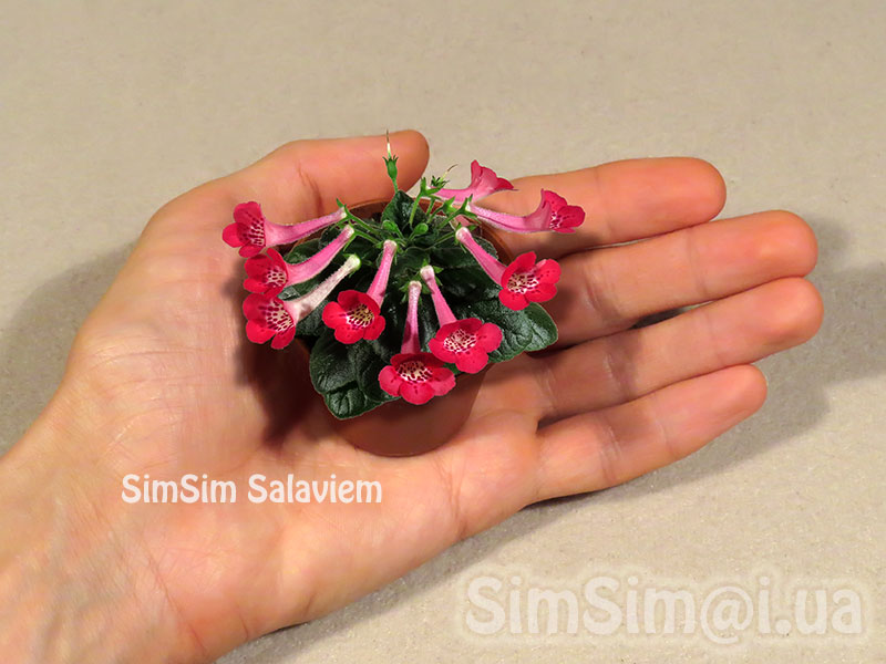 SimSim-Salaviem-127_ed1_f1_web.jpg