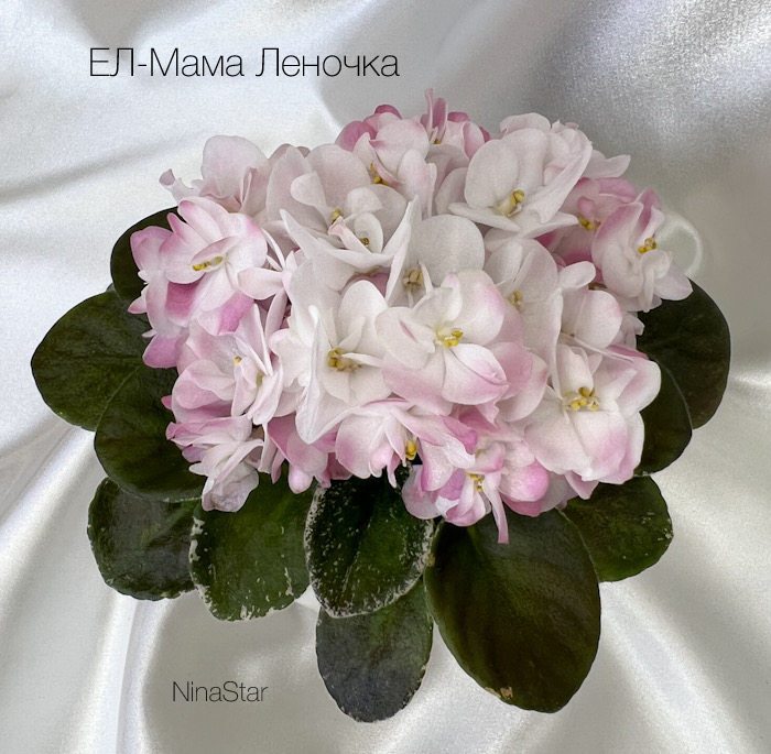 ЕЛ-Мама Леночка