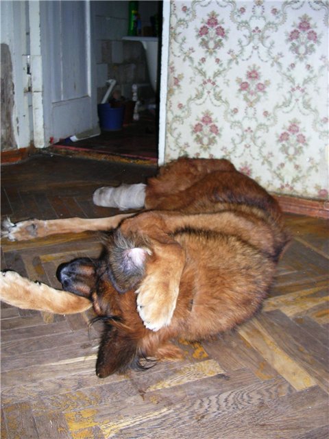 Груня.jpg