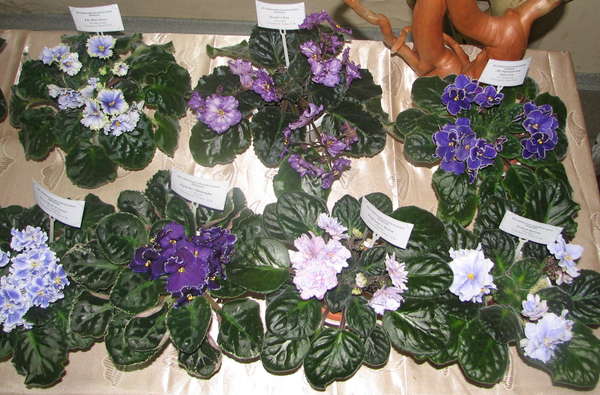 128708560079008366.jpg