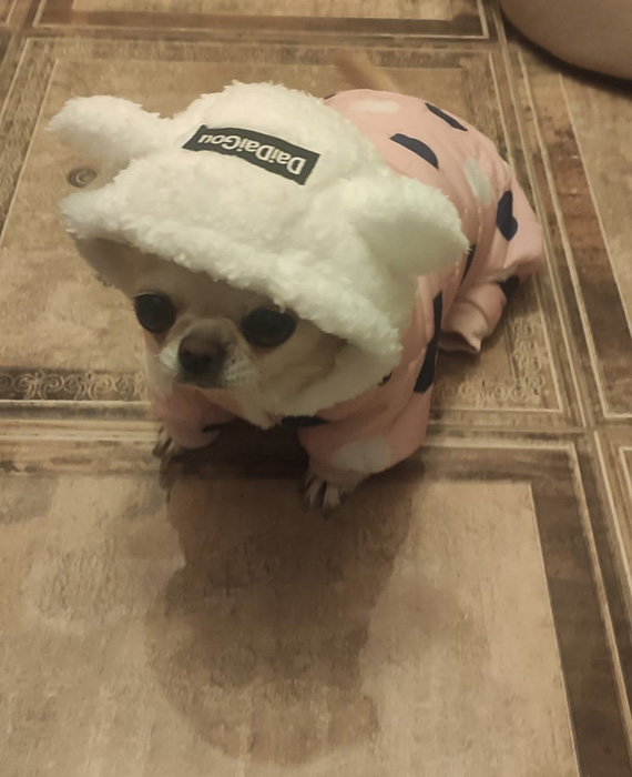 ююю2.э1....ю.jpg