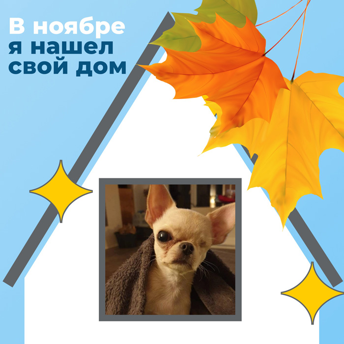 ююю2.э1....ю.jpg