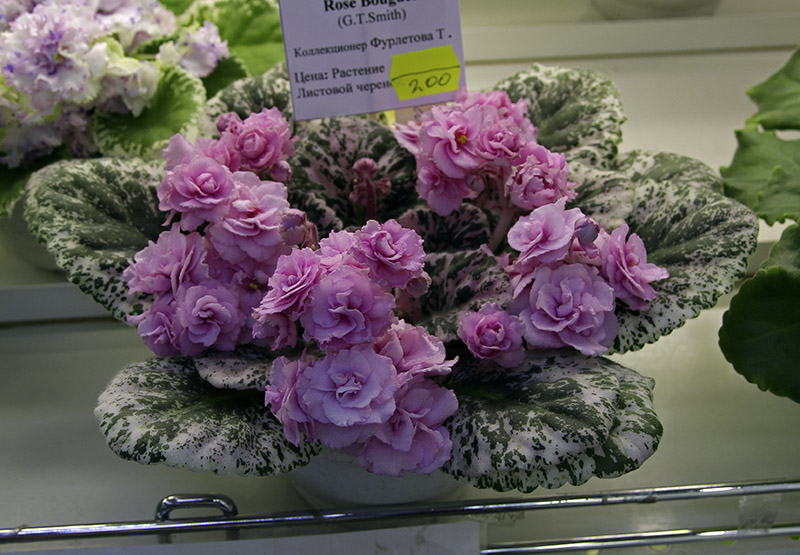 Rose Bouquet