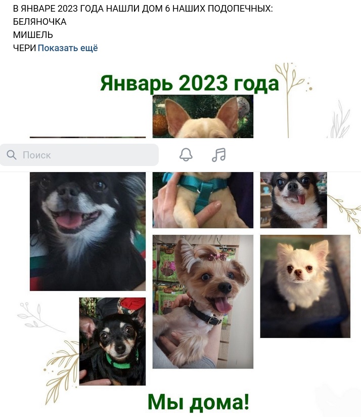 ююю2.э1.а..бш..jpg