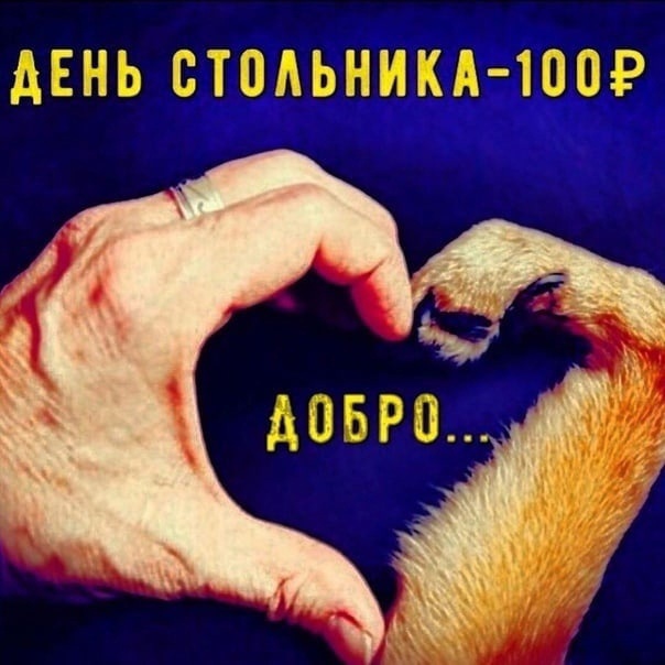 день.jpg