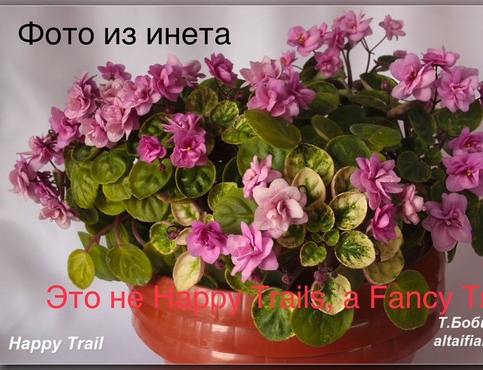 DF91D6B8-5BAE-444E-A6A2-596B9C876050.jpeg