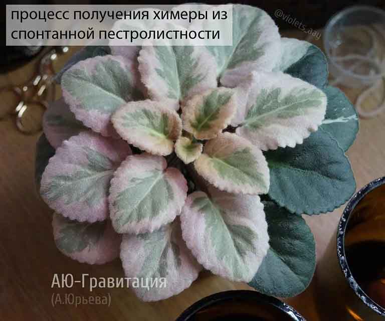 почти готово:)