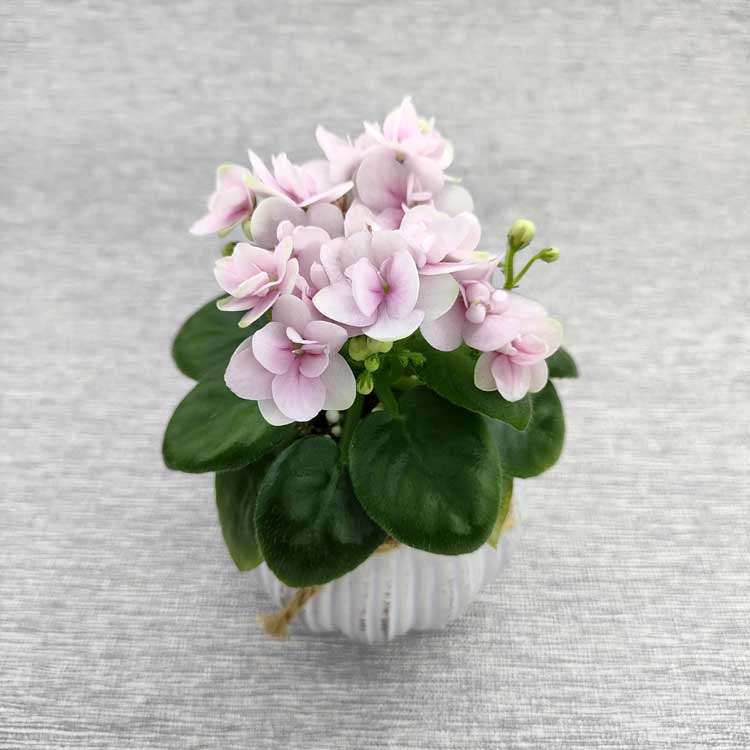 Hunter's Pink Camo (K.Muzalewski)