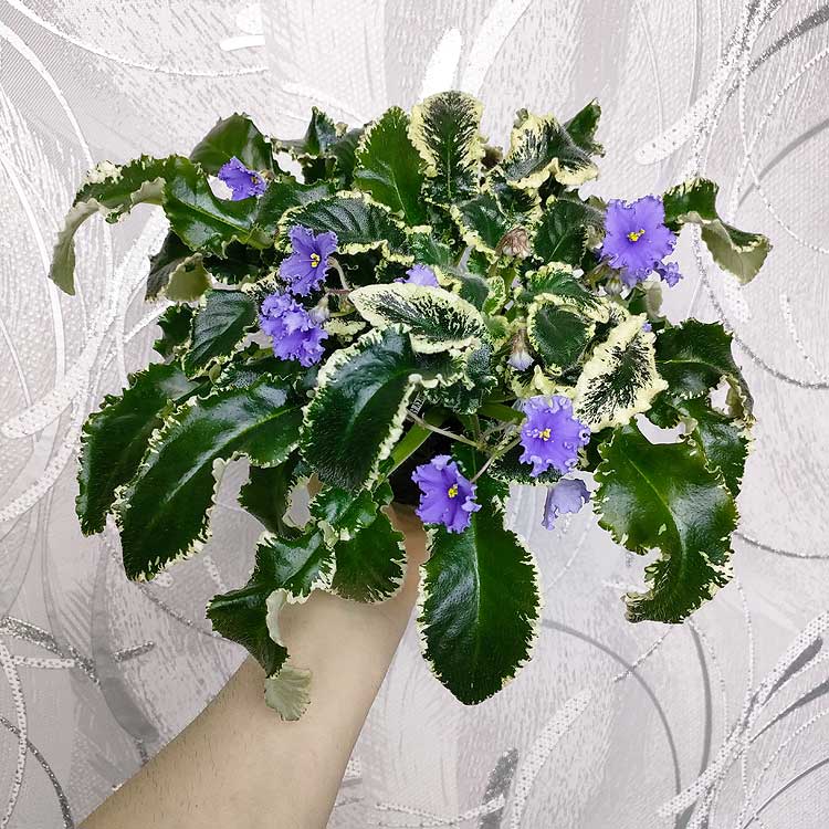 IMG20230325170858.jpg