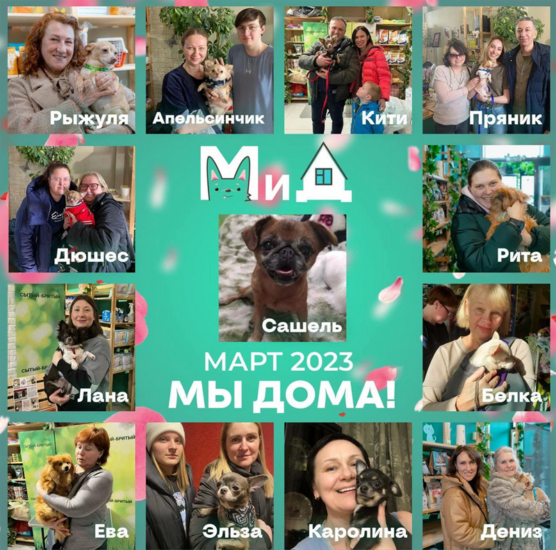 2023 март.png