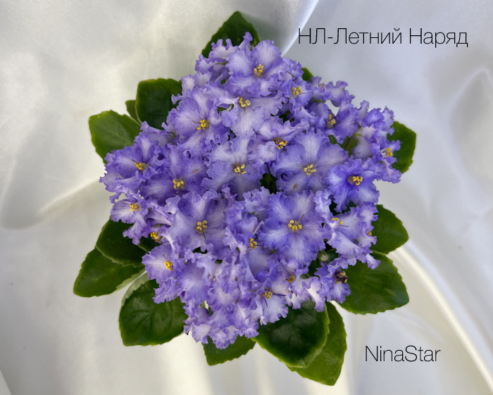 НЛ-Летний Наряд
