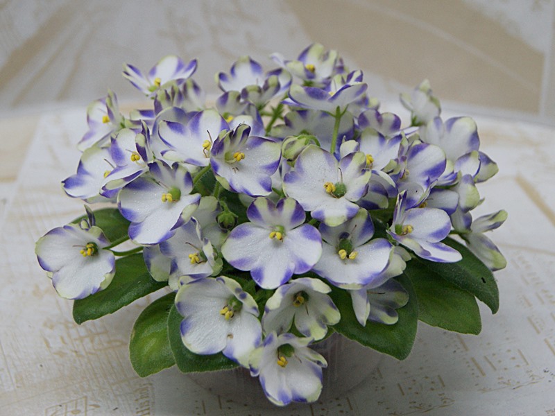 Марина Цветаева (А.Басенина).JPG