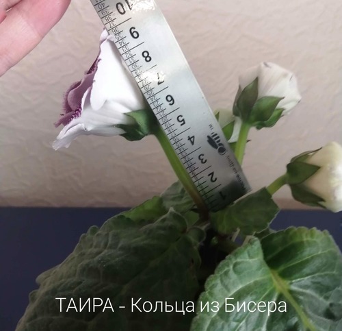 imgonline-com-ua-Resize-ry08EY7bW5omju.jpg