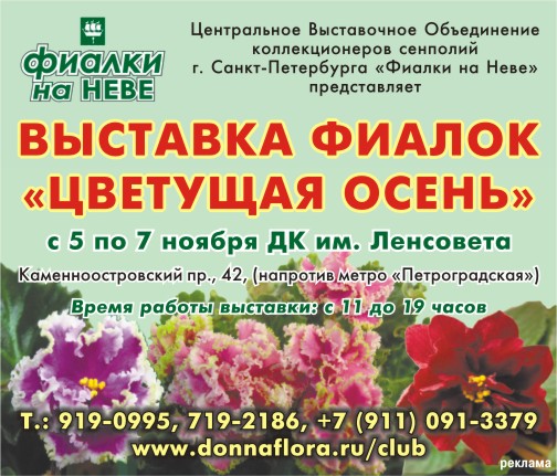 59918_451.jpg
