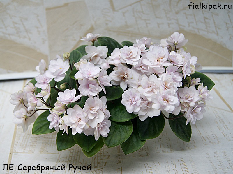 ЛЕ-Серебряный Ручей.JPG