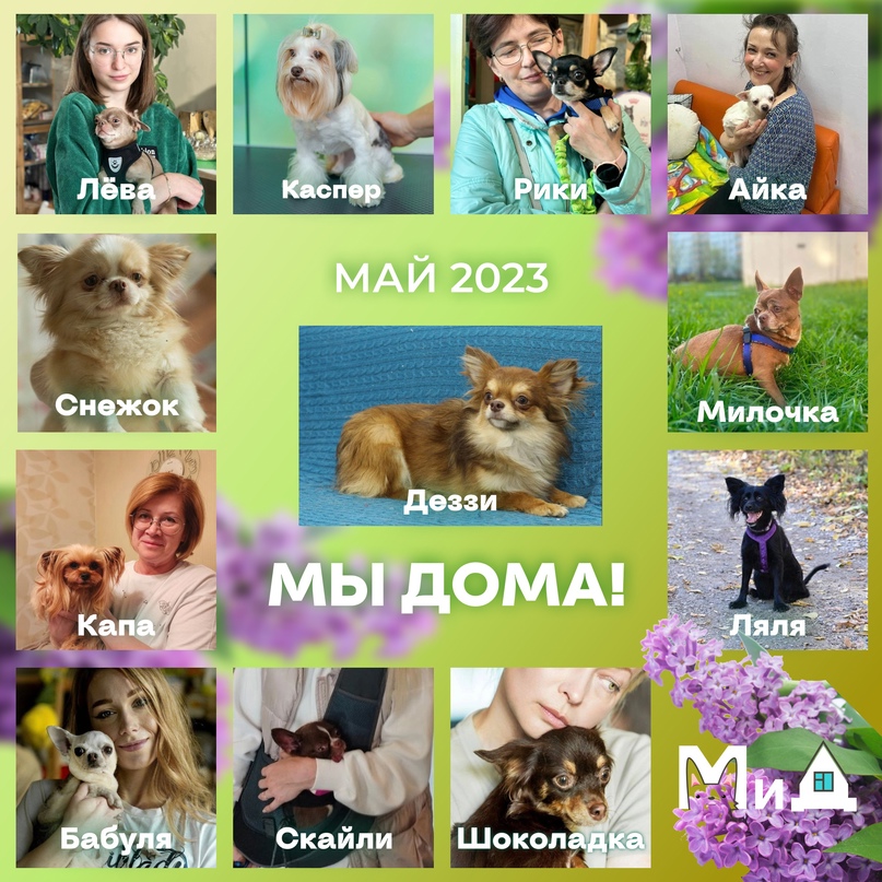 2023 май.jpg