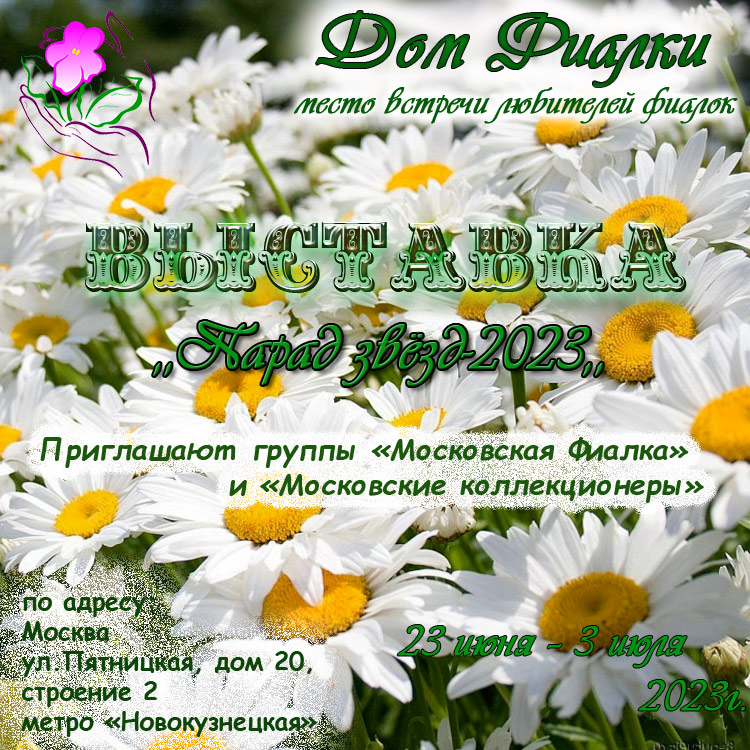афиша.jpg