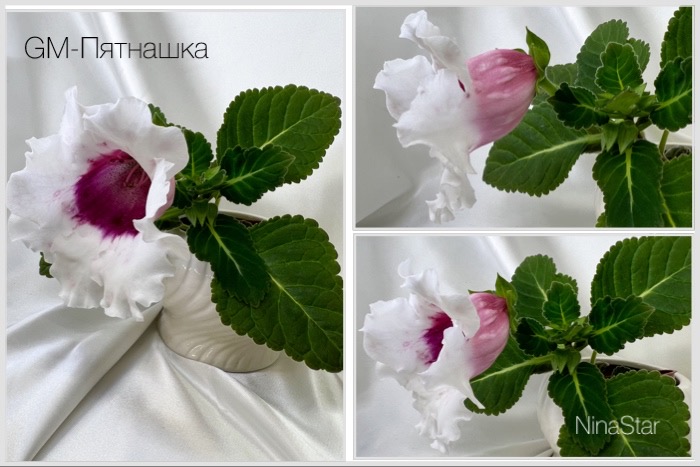GM-Пятнашка