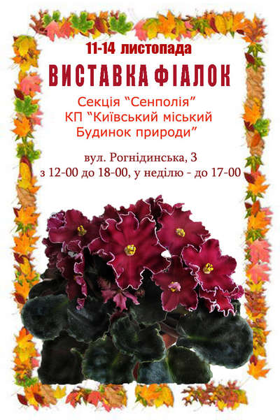 Плакат - ноябрь 2010.jpg