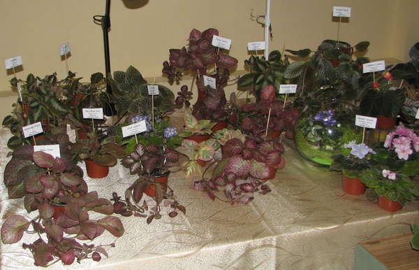 128948521738008342.jpg