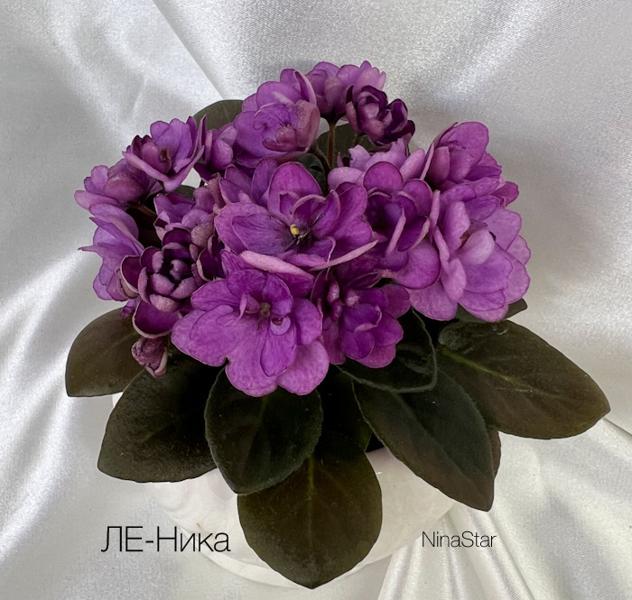 ЛЕ-Ника