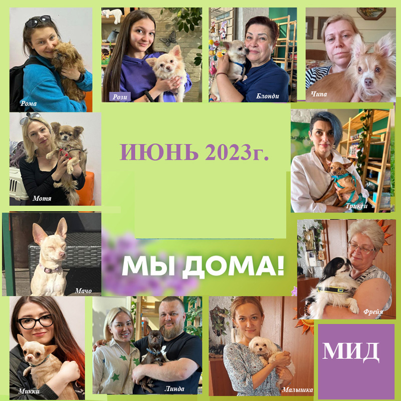 2023 июнь.jpg